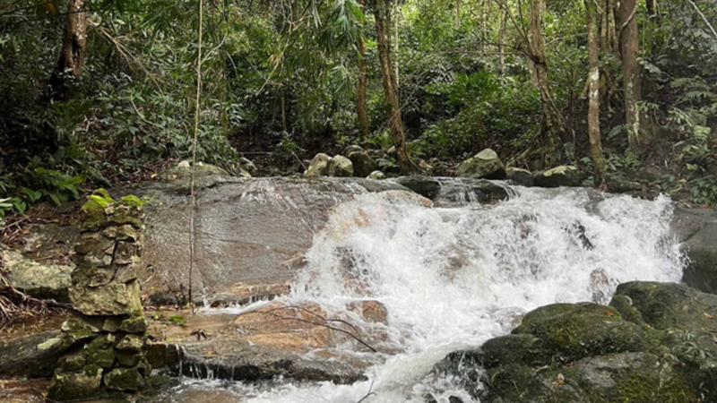 Trekking Chu Yang Sin National Park in a day (5)